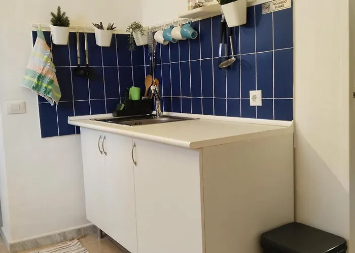 Flor De Platanero Garachico (Tenerife)