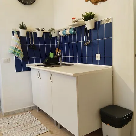 Flor De Platanero Garachico (Tenerife)