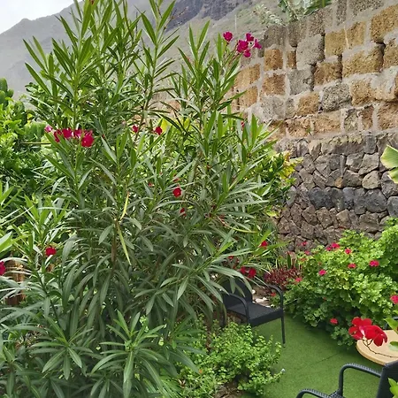 Flor De Platanero * Garachico (Tenerife)